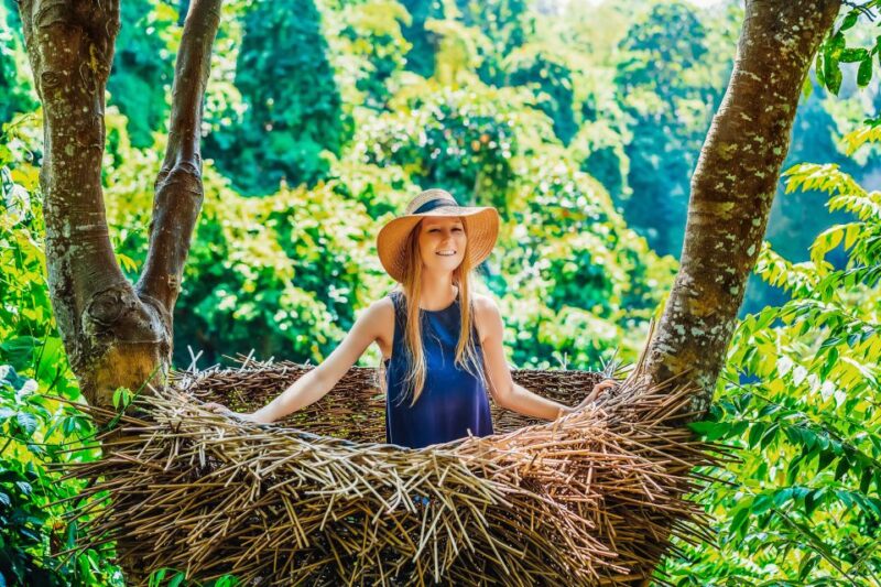 Ubud: Spectacular Waterfalls Tour - What to Bring