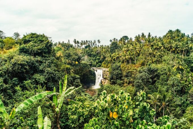 Ubud: Spectacular Waterfalls Tour - Waterfall Experiences