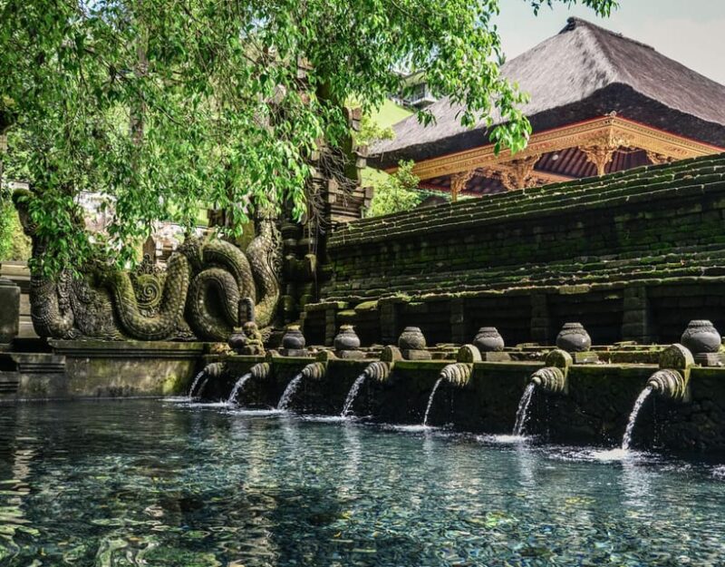 Ubud Spiritual Cleansing & Pegulingan Ancient Temple Tour - Inclusions