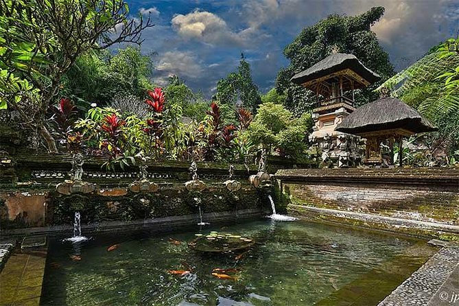 Ubud Swing and Ubud Village Tour - Pickup Information