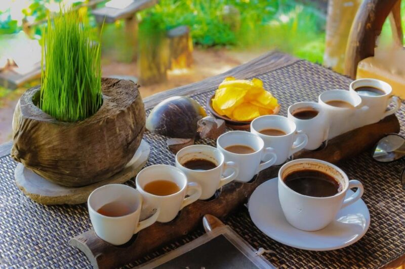 Ubud: Swing, Coffee Plantation, Rice Terrace, and Waterfall - Included Features