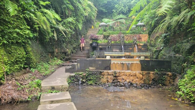 Ubud: Swing, Coffee Plantation, Rice Terrace, and Waterfall - Customer Feedback
