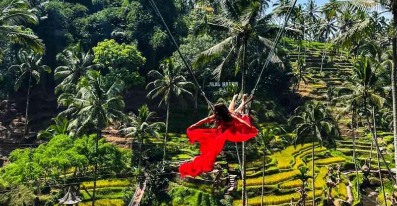 Ubud Swing : Explore Ubud Country Side & Taste of Coffee - Itinerary and Schedule