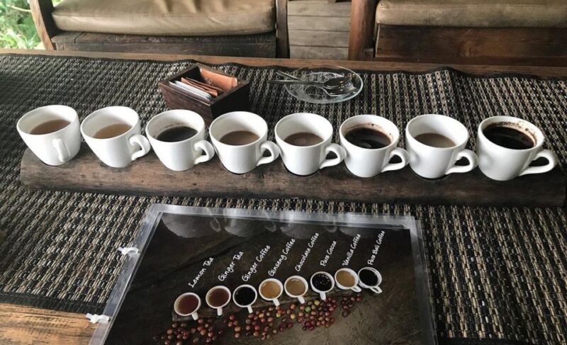 Ubud Swing : Explore Ubud Country Side & Taste of Coffee - Frequently Asked Questions