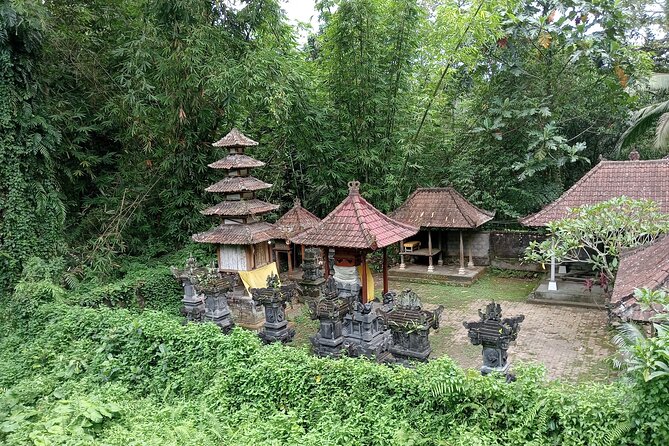 Ubud Tamansari Natural Pool Bali Swing Private Guided Tour - Visiting Tegalalang Rice Terrace