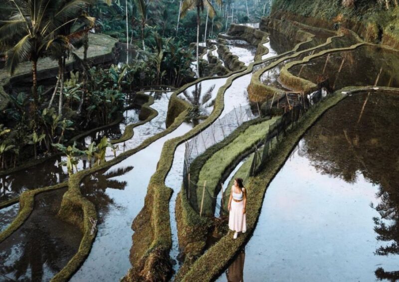 Ubud: Tegalalang Rice Terrace Photos Tour With Swing Ticket - Tegalalang Rice Terrace