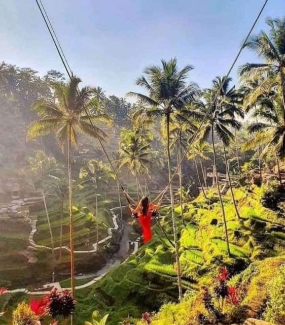 Ubud Tegallalang Rice Terrace Tour - Key Attractions