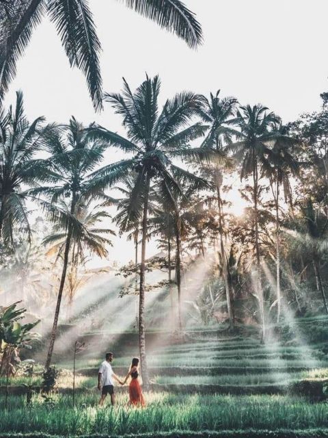 Ubud Tegallalang Rice Terrace Tour - Tour Price and Duration