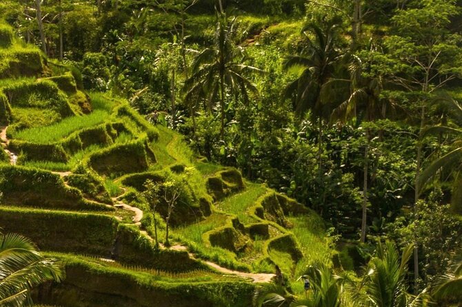 Ubud Temples, Waterfalls, Rice Terraces & Balinese Culture - Reviews and Assurance