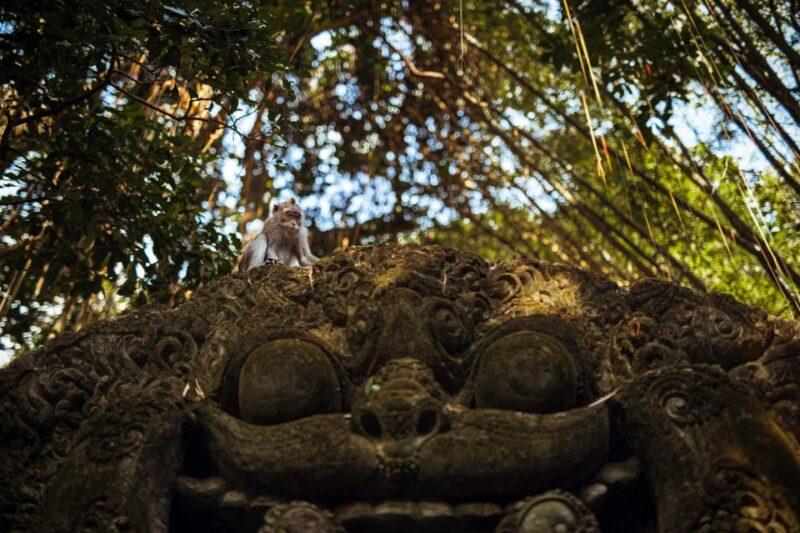 Ubud Thrills: Swing, Monkey Forest, Waterfall & Lunch - Key Points