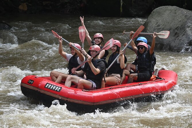 Ubud Top Waterfall Surounding With Rice Terrace All Include - Highlights of the Tour