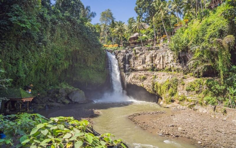 Ubud Tour Bali: Nature, Waterfall, and Cultural Experience - Key Points