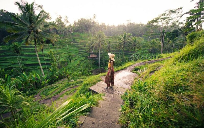 Ubud Tour Bali: Nature, Waterfall, and Cultural Experience - Tegallalang Rice Terraces
