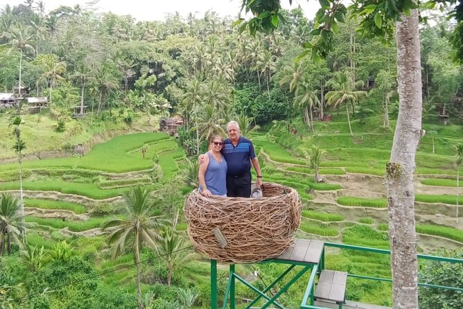 Ubud Tour - Best of Ubud Private Tour With Guide - All Inclusive - Monkey Forest Exploration