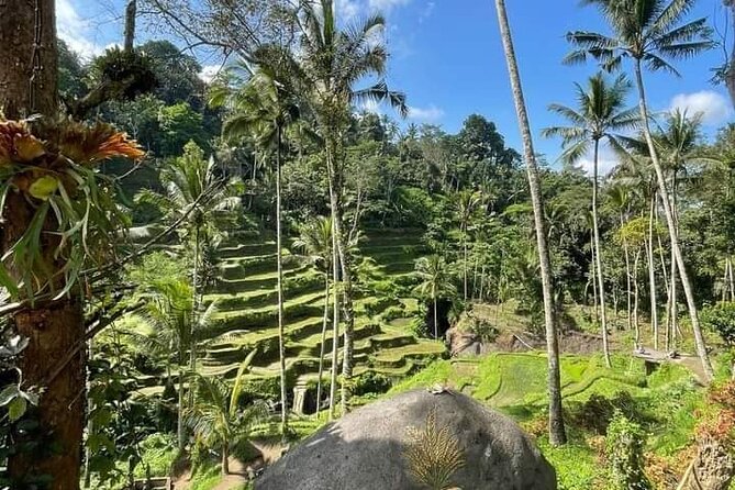 Ubud Tour by Scooter - Traveler Participation and Accessibility