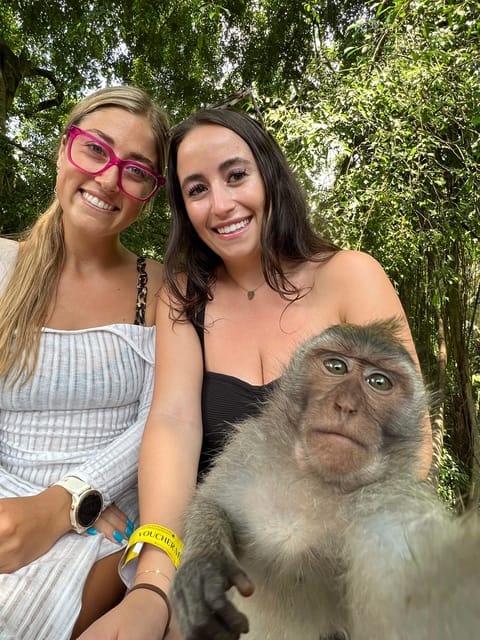 Ubud Tour: Culture, Waterfalls, Temples, Monke Forest - Tour Highlights