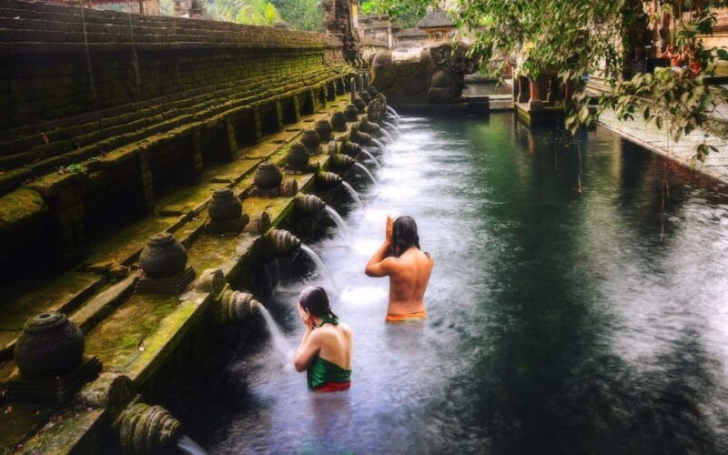 Ubud Tour: Culture, Waterfalls, Temples, Monke Forest - Experience Description