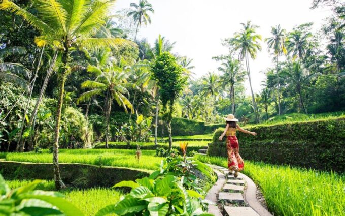 Ubud Tour: Culture, Waterfalls, Temples, Monke Forest - Tirta Empul Temple