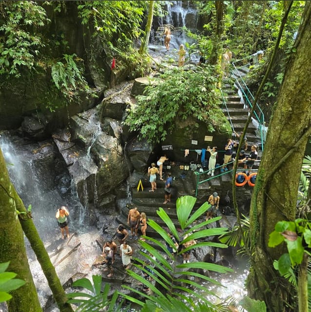 Ubud Tour: Discover the Bali Cultural Essence - Santi Coffee Plantation