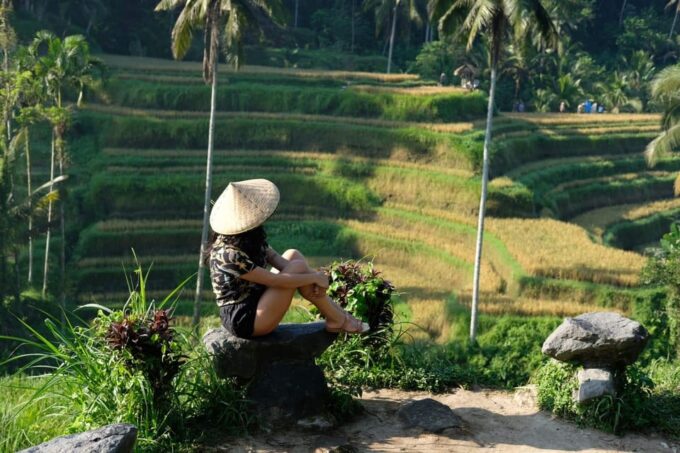 Ubud Tour Experience - Monkey Forest Interaction