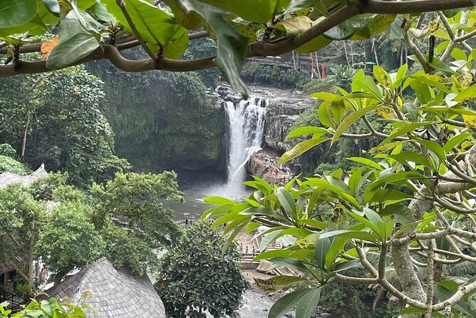 Ubud Tour - Highlight of Ubud - Traditional Tour - Additional Information