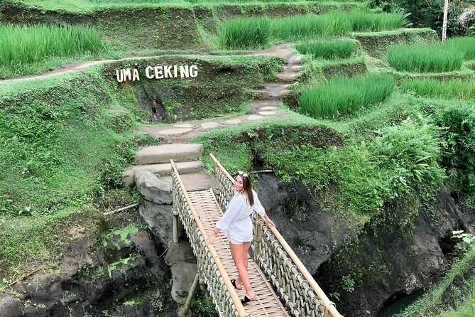 Ubud Tour : Jungle Swing - Campuhan Ridge Walk - Tegenungan Waterfall - Meeting and Pickup