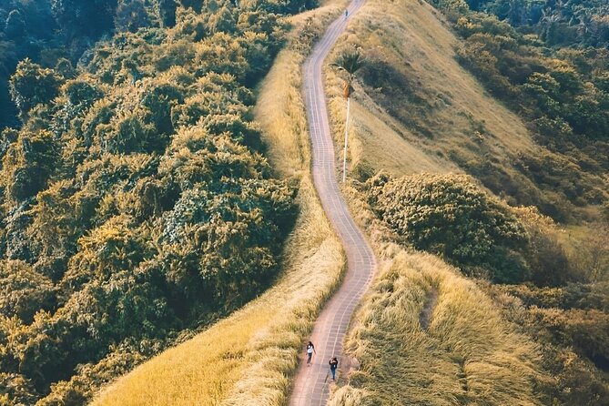 Ubud Tour : Jungle Swing - Campuhan Ridge Walk - Tegenungan Waterfall - Tour Experience