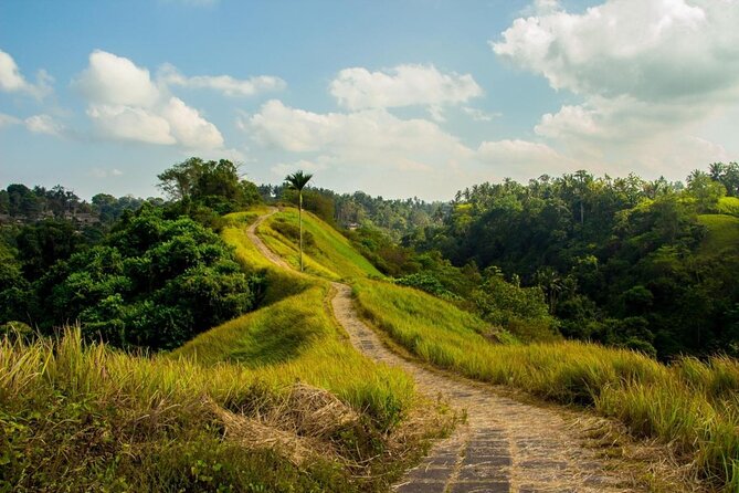 Ubud Tour : Jungle Swing - Campuhan Ridge Walk - Tegenungan Waterfall - Accessibility Information
