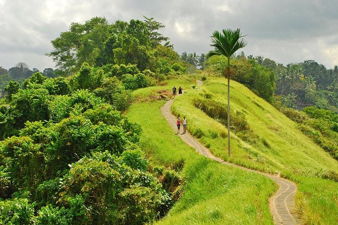 Ubud Tour : Jungle Swing - Campuhan Ridge Walk - Tegenungan Waterfall - Cancellation Policy
