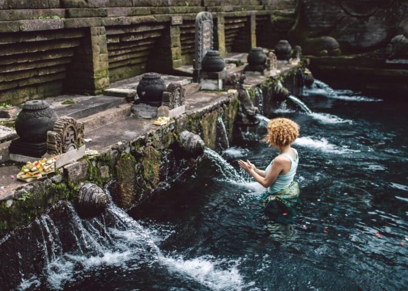 Ubud Tour: Monkey Forest, Rice Terrace, Temple FREE ENTRANCE - Transportation and Logistics