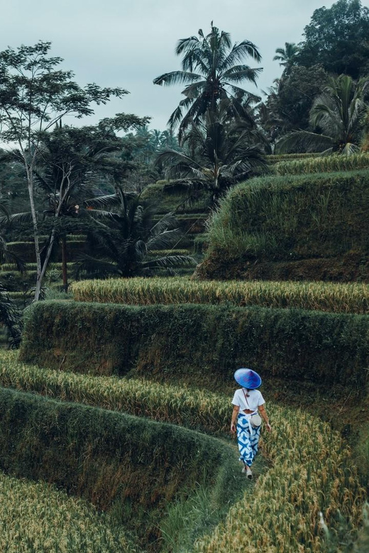 Ubud Tour: Monkey Forest, Rice Terrace, Temple FREE ENTRANCE - Included and Optional Add-ons