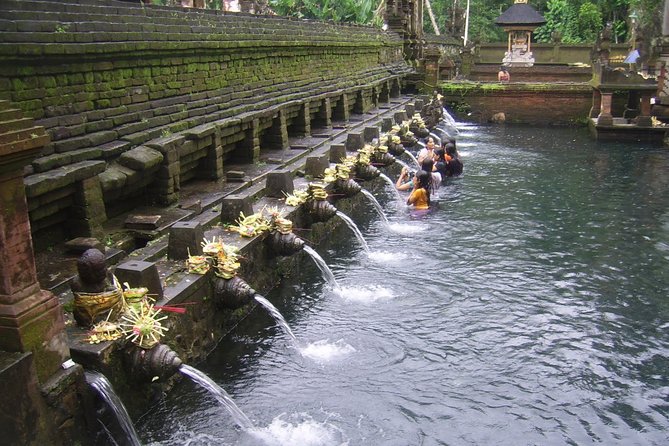 Ubud Tour - Ubud Highlight - Private Tour All Inclusive - Tegalalang Rice Terrace