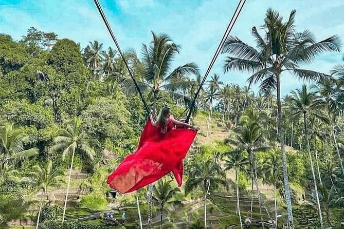 Ubud Tour With All Includes - Reviews and Ratings