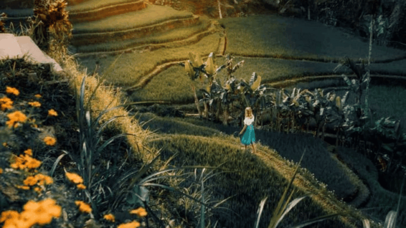 Ubud Tour With Local English Speaking Driver - Experience Highlights