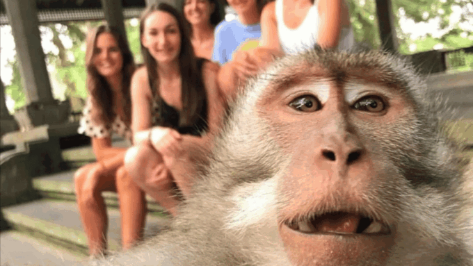 Ubud Tour With Local English Speaking Driver - Frequently Asked Questions