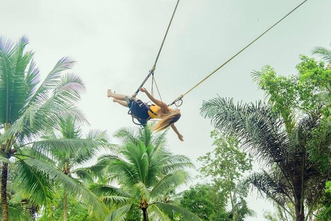 Ubud Tours: Culture, Palace, Temple, Rice Field Walks, Local Show, Monkey Forest - Cancellation and Reviews