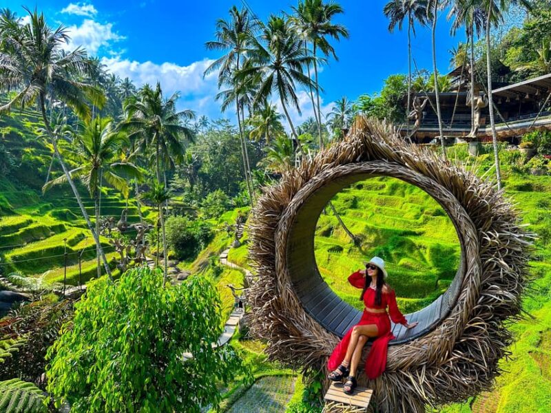 Ubud Tours: Monkey Forest, Tirta Empul, Waterfall & Swing - Tour Highlights