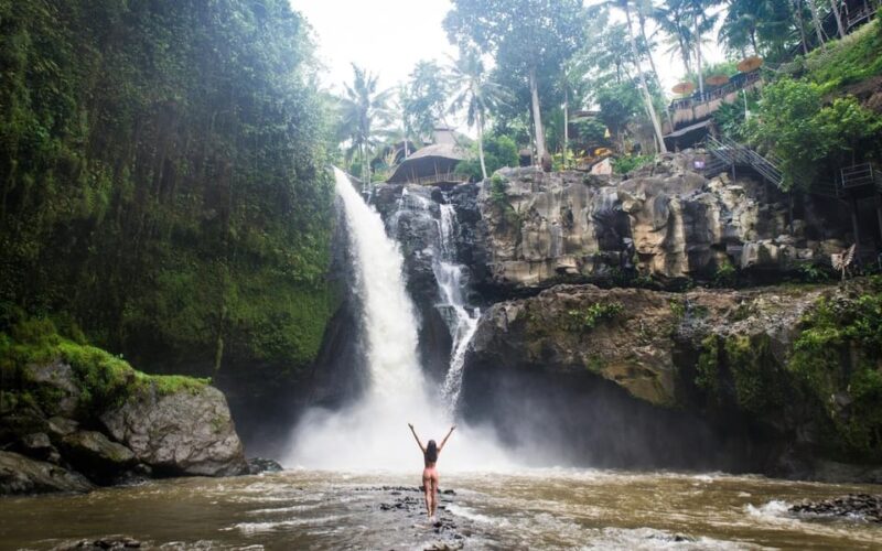 Ubud Traditional Village Sightseeing - Best Of Ubud - Optional Activities