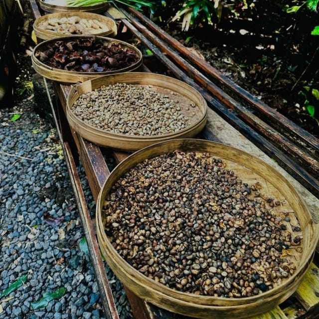 Ubud: Ubud Day Tour With Rice Terraces, Temple, Etc - Booking and Flexibility