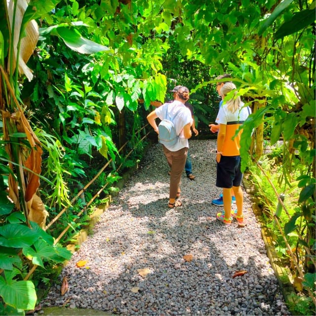 Ubud: Ubud Day Tour With Rice Terraces, Temple, Etc - Waterfall Visit