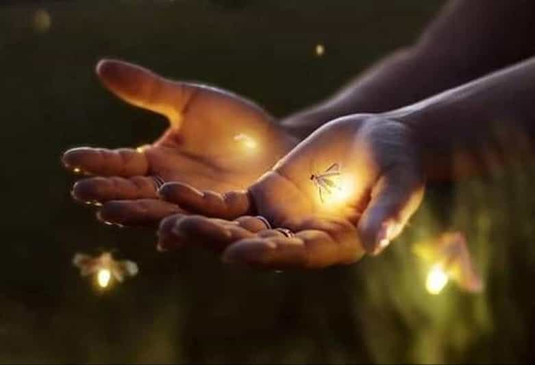 Ubud: Village Firefly Night Tour With Dinner - Cultural Experience