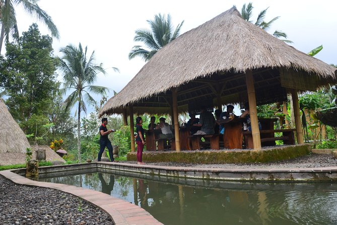 Ubud Village Sightseeing, Famous Paddy Field And Ubud Waterfall - Nusa Penida Snorkeling and Bali ATV Ride