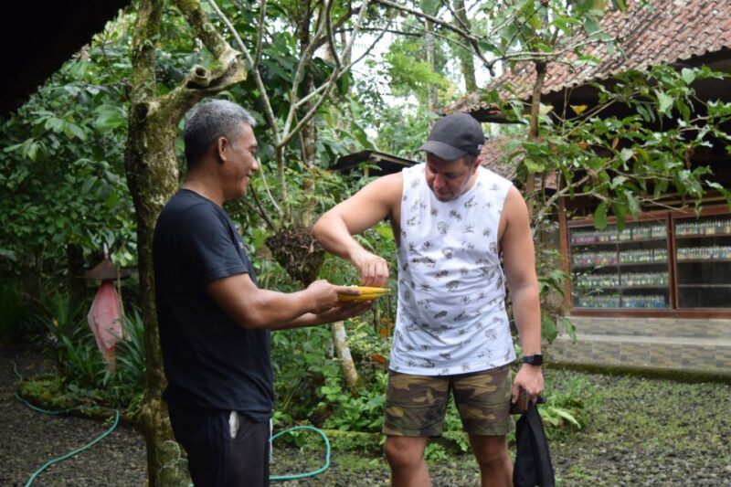 Ubud & Volcano Hot Springs Tours - Key Points