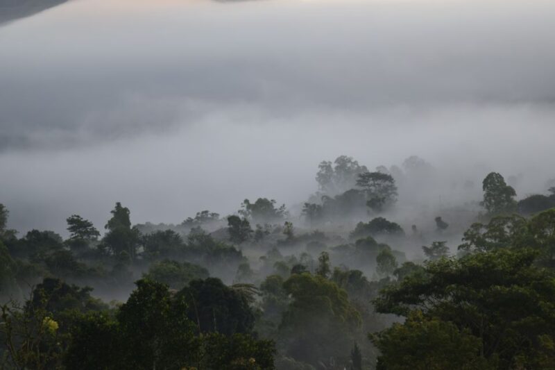 Ubud & Volcano Hot Springs Tours - Inclusions and Logistics