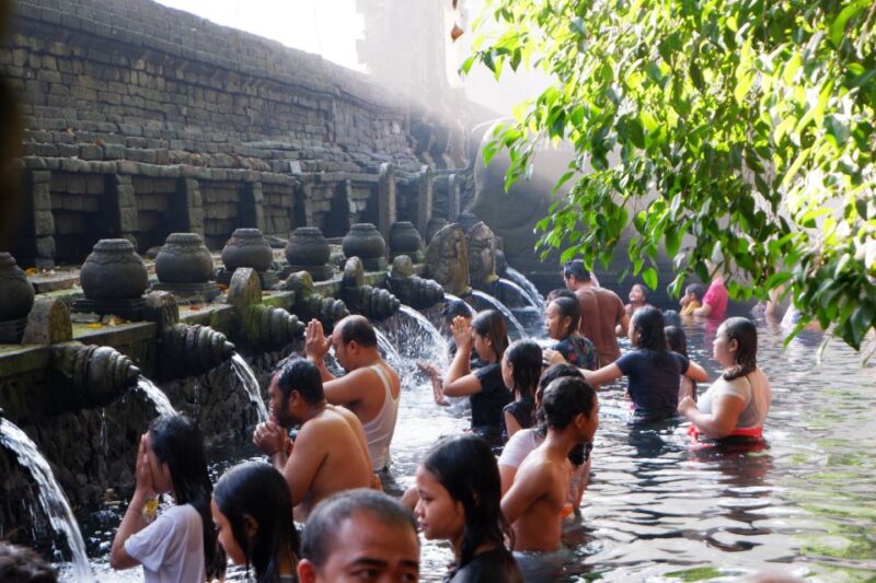 Ubud & Volcano Hot Springs Tours - Customer Feedback and Recommendations