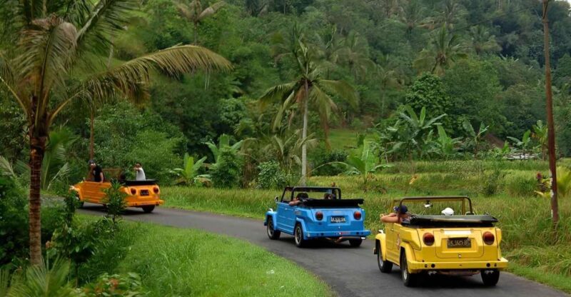 Ubud VW Safari Bali Tour - Key Points