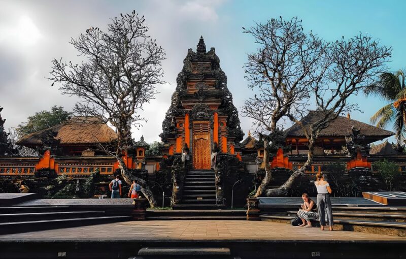 Ubud VW Safari Bali Tour - Important Information