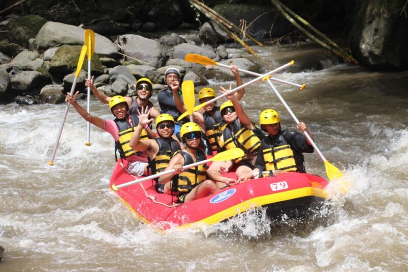 Ubud Water Rafting, Riceterrace, Waterfall Tour All Included - Itinerary