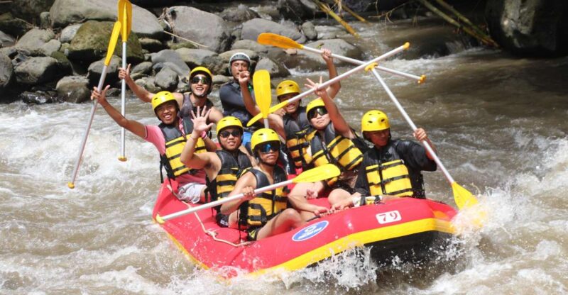 Ubud Water Rafting, Riceterrace, Waterfall Tour All Included - Activity Details