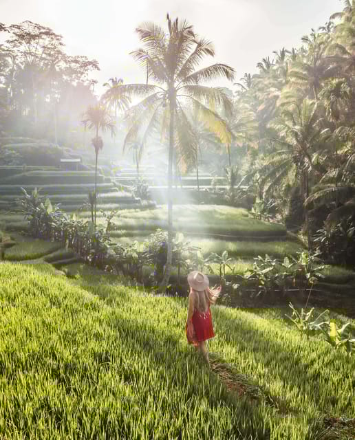 UBUD : Water Temples, Waterfalls, and Rice Terraces Tour - Experience Details
